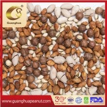 Roasted Almond in Shell Good Quality Delicious AA